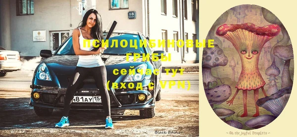 mdpv Вязники