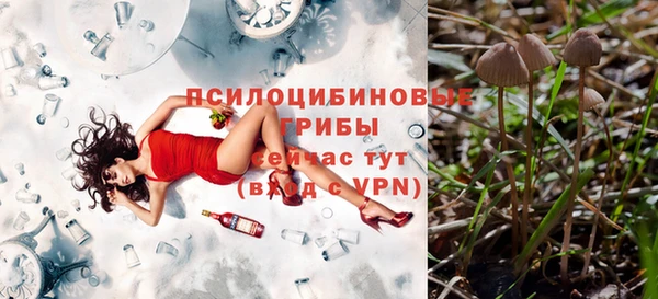 mdpv Вязники