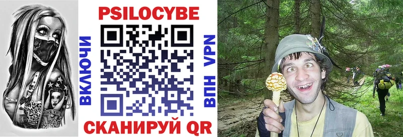 Галлюциногенные грибы прущие грибы  Купить где  Ивангород 
